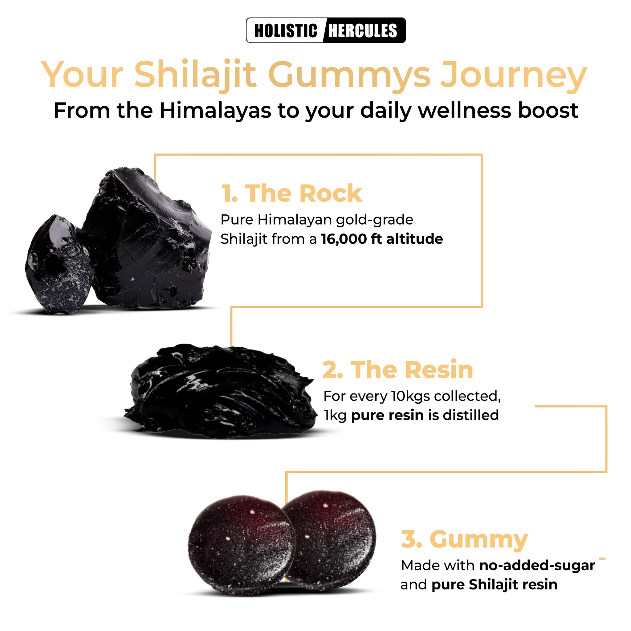 Shilajit & Sea Moss Gummies Bundle